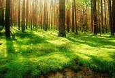 世界体能恢复公益课堂高校合作第46批项目验收结果公布，国际体能大会